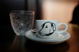 dog caffeine