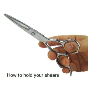 dog grooming scissors