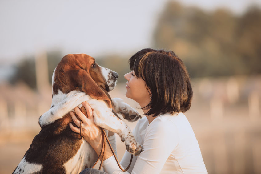 do Basset hounds smell