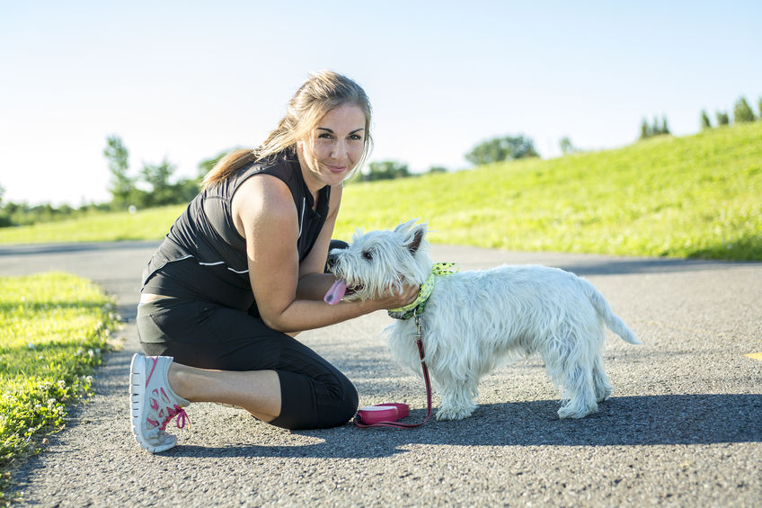 Westie behavior problems