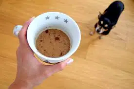 dog coffee