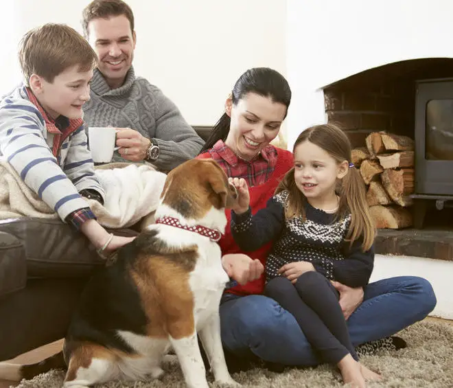 Beagles good with kids