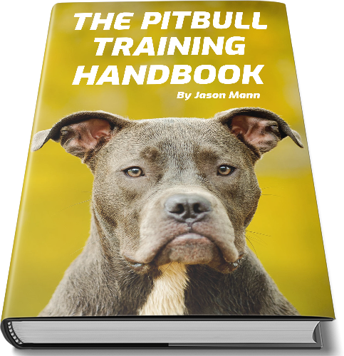 The Pitbull Training Handbook